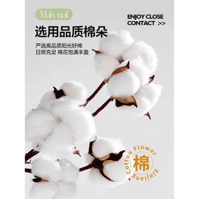 纯棉床上四件套南通床单被套全棉三件套床上用品母婴类高级感床笠