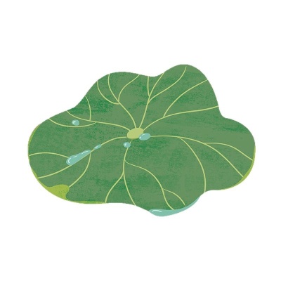 硅藻泥地垫吸水速干脚垫清新绿色防滑垫家用浴室地垫卫生间进门垫