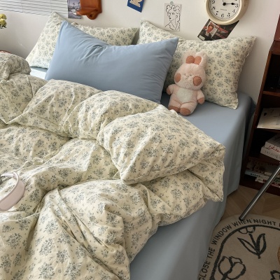 空调被薄被皱皱纱韩系可爱夏被小清新双拼印花可水洗超柔软四件套