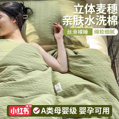 2025新款四件套床上用品床单水洗棉被套罩四季通用宿舍三件套