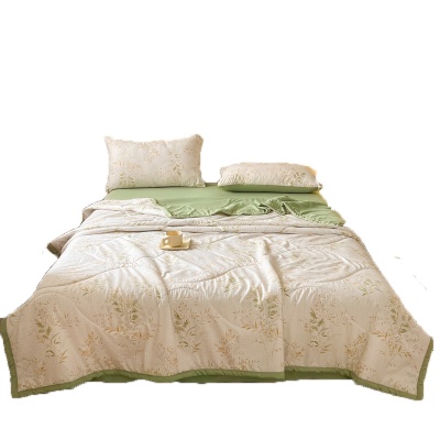 小清新夏被a类面料ins风双层纱水洗棉夏凉被床上用品泡泡棉空调被