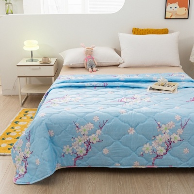 夏季活动礼品水洗棉夏凉被空调被开业促销夏被礼盒装薄被子芯批发