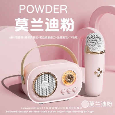 麦克风蓝牙音响带话筒唱歌音响一体机礼品定制户外便携式K歌音箱