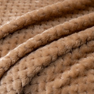 跨境直供菠萝格流苏球毛毯加厚珊瑚绒毯子办公室沙发盖毯午睡毯