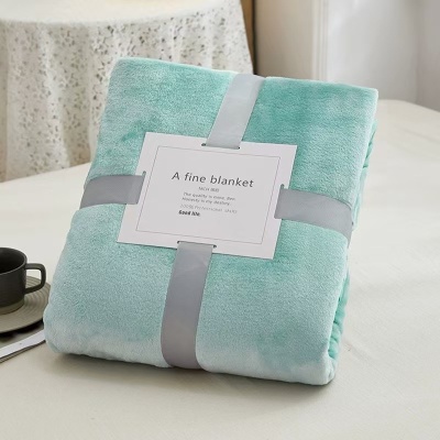 冬季加厚法莱绒毛毯菠萝格外贸毯子宠物小毯子礼品批发可定制Logo