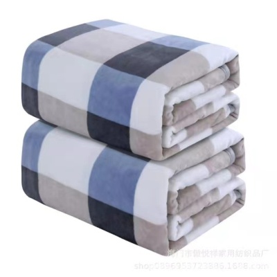 冬季加厚法莱绒毛毯菠萝格外贸毯子宠物小毯子礼品批发可定制Logo