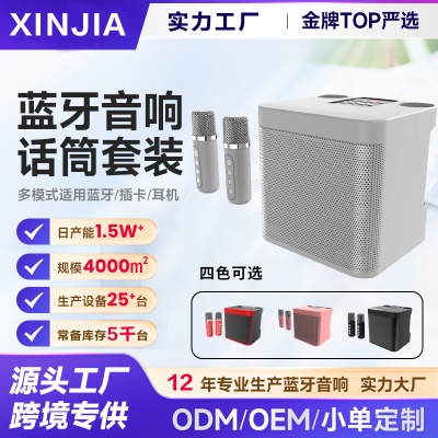 YS203KTV家庭套装音箱带话筒一体机KD203双麦克风蓝牙唱K歌音响