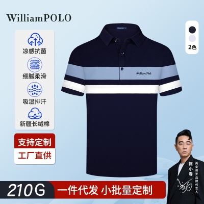 英皇保罗polo衫男士高级感条纹男士短袖翻领t恤男现货POLO衫定制