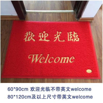 欢迎光临地毯出入平安门垫加厚进门地毯丝圈地垫门口脚垫进
