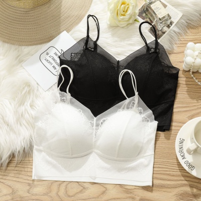 蕾丝小胸美背内衣一体吊带女士春夏短款小胸聚拢内衣胸垫打底背心
