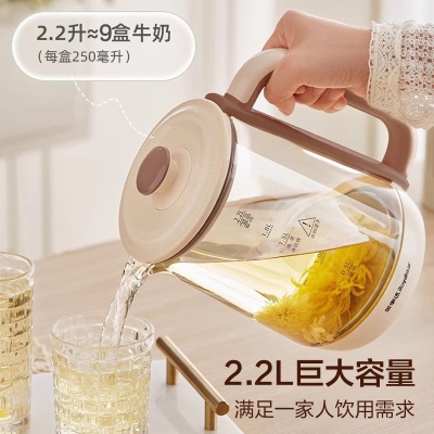 荣事达养生壶316不锈钢2.2L多功能煮茶器家用保温煮花茶壶热水壶