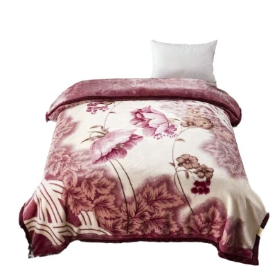 加厚拉舍尔毛毯工厂批发冬季保暖毯法兰绒盖毯床单双层抗静电云毯