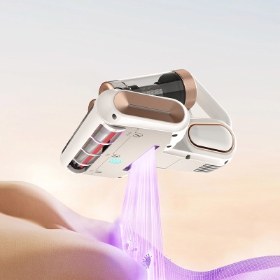 跨境新款超声波强吸力滚刷双尘杯拍打过滤除紫外线杀菌除螨仪批发