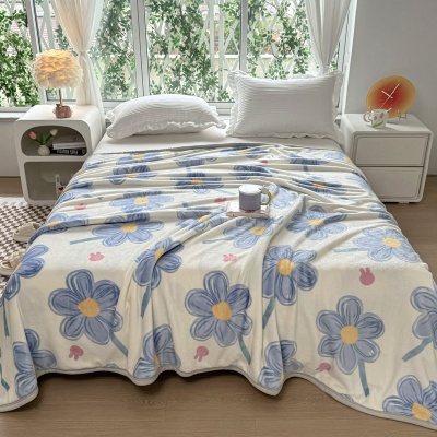 跨境外贸毛毯批发法兰绒活动礼品双面绒毯礼品公司小毛毯盖毯批发