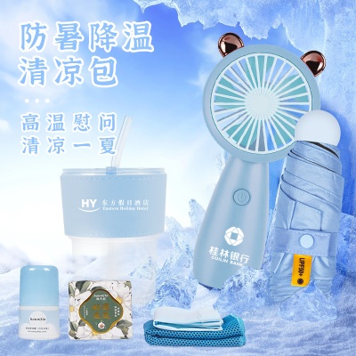 夏季伴手礼送员工福利小礼物套装防暑礼品开业活动批发定制LOGO
