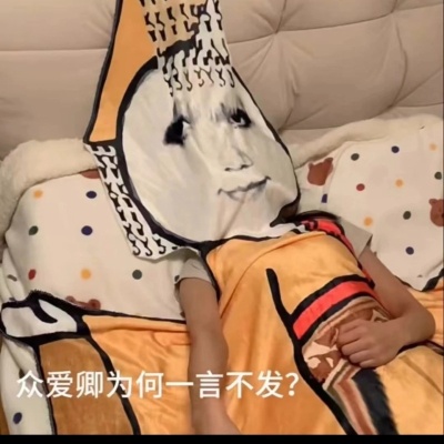 夏季空调毯龙图见到朕为何不跪搞怪毯子宿舍床上午睡表情包毛毯
