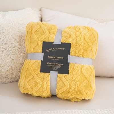 外贸纯色塔芙绒提花毛毯法兰绒毯子盖毯礼品空调毯多功能午睡毯